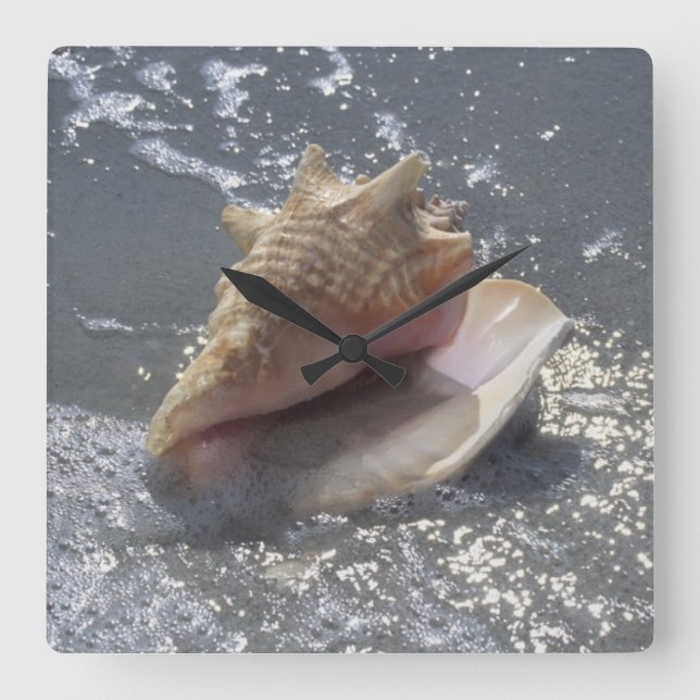 Seashell On Beach | Sanibel Island, Florida Square Wall Clock (Front)