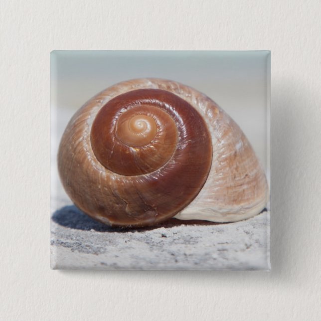 Seashell On Beach | St. Petersburg, Fl 2 Inch Square Button (Front)