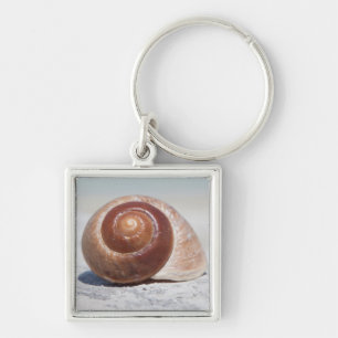Seashell On Beach   St. Petersburg, Fl Keychain