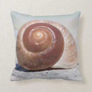 Seashell On Beach   St. Petersburg, Fl Throw Pillow