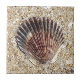 Seashell On Sand Tile