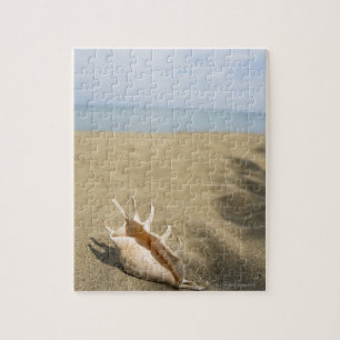 Seashell on sandy beach jigsaw puzzle