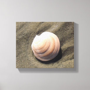 Seashell on the Sand Canvas Print