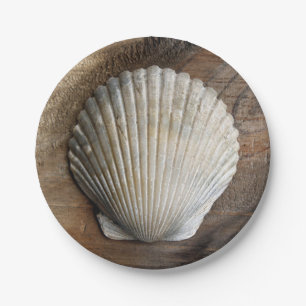 Seashell - Paper Plate