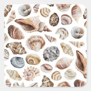 Seashell pattern square sticker