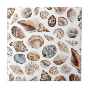 Seashell pattern tile
