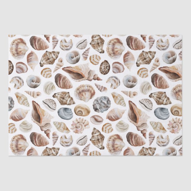 Seashell pattern tissue paper (Front)