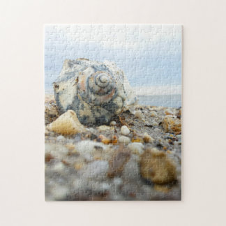 Seashell & Pebbles Jigsaw Puzzle