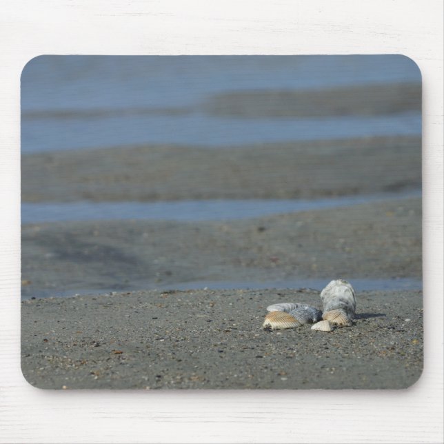 Seashell Pile Mouse Pad (Front)