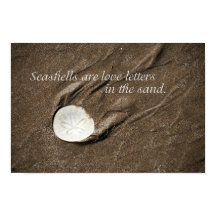 Seashell Poster