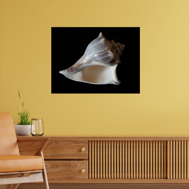 Seashell Poster (Living Room 2)