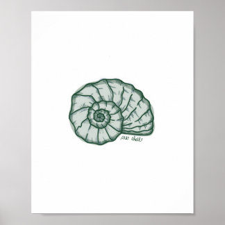 Seashell print