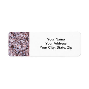 Seashell Return Address Lables
