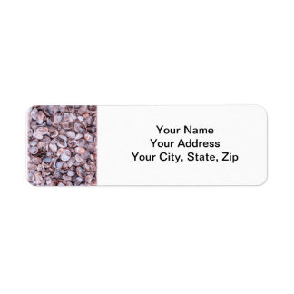 Seashell Return Address Lables
