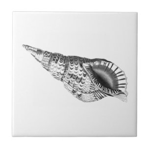SEASHELL SEALIFE CERAMIC TILE