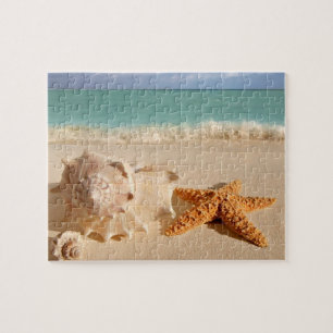 Seashell seastar at the beach jigsaw puzzle