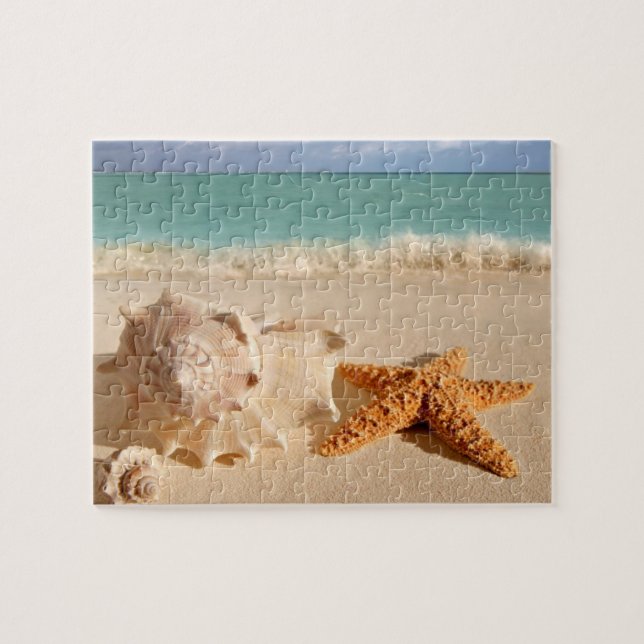 Seashell seastar at the beach jigsaw puzzle (Horizontal)