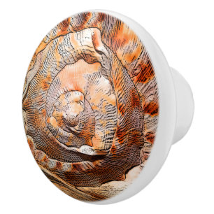 Seashell Shell Beach House Décor Ceramic Knob
