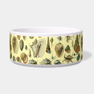 Seashell Shell Mollusk Clam Elegant Classic Art