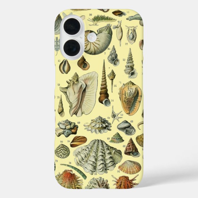Seashell Shell Mollusk Clam Elegant Classic Art Case-Mate iPhone Case (Back)