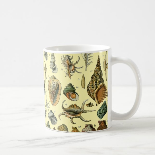 Seashell Shell Mollusk Clam Elegant Classic Art Coffee Mug (Right)