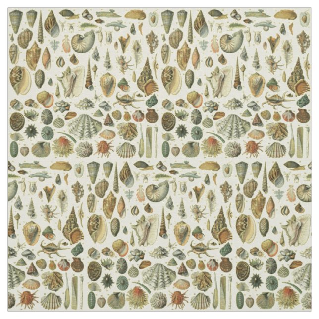 Seashell Shell Mollusk Clam Elegant Classic Art Fabric (Swatch)