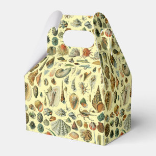 Seashell Shell Mollusk Clam Elegant Classic Art Favor Box