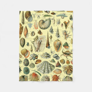 Seashell Shell Mollusk Clam Elegant Classic Art Fleece Blanket