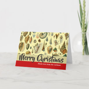 Seashell Shell Mollusk Clam Elegant Classic Art Holiday Card