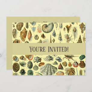 Seashell Shell Mollusk Clam Elegant Classic Art Invitation