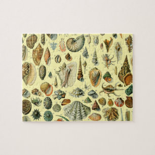 Seashell Shell Mollusk Clam Elegant Classic Art Jigsaw Puzzle