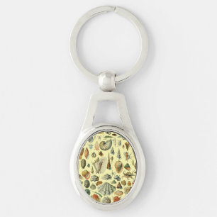 Seashell Shell Mollusk Clam Elegant Classic Art Keychain