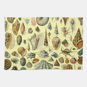 Seashell Shell Mollusk Clam Elegant Classic Art Kitchen Towel