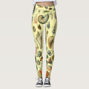 Seashell Shell Mollusk Clam Elegant Classic Art Leggings