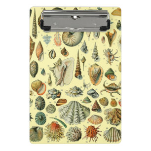 Seashell Shell Mollusk Clam Elegant Classic Art Mini Clipboard