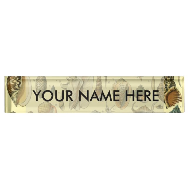 Seashell Shell Mollusk Clam Elegant Classic Art Nameplate (Front)