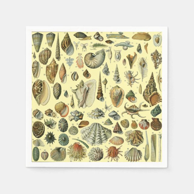 Seashell Shell Mollusk Clam Elegant Classic Art Napkin (Front)