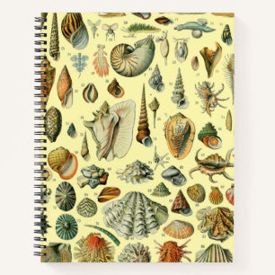 Seashell Shell Mollusk Clam Elegant Classic Art Notebook