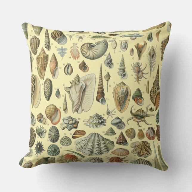 Seashell Shell Mollusk Clam Elegant Classic Art Outdoor Pillow (Front)