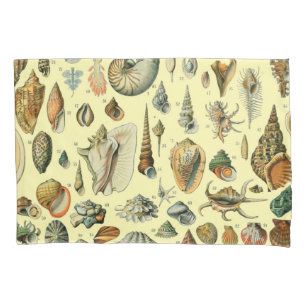 Seashell Shell Mollusk Clam Elegant Classic Art Pillowcase