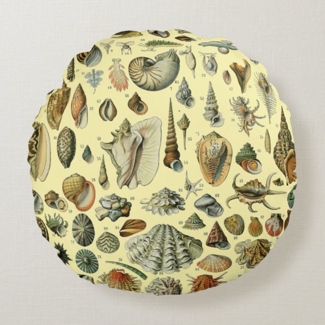 Seashell Shell Mollusk Clam Elegant Classic Art Round Pillow (Front)