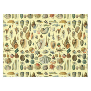 Seashell Shell Mollusk Clam Elegant Classic Art Tablecloth