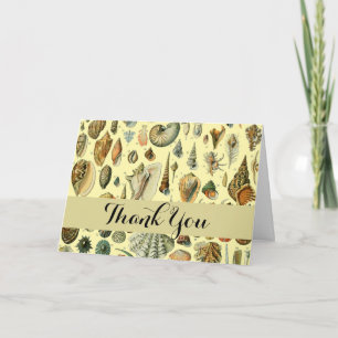 Seashell Shell Mollusk Clam Elegant Classic Art Thank You Card