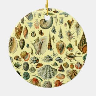 Seashell Shell Mollusk Clam Vintage Art Ceramic Ornament
