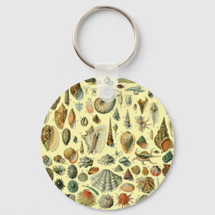 Seashell Shell Mollusk Clam Vintage Art Keychain