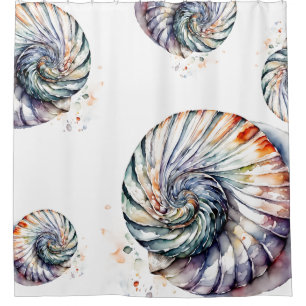 Seashell Shell Nautilus Design 357 Watercolor