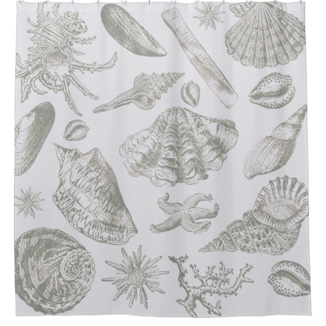Seashell Soft Antique Art Beach Shells (Front)