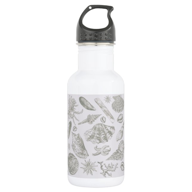 Seashell Soft Antique Art Beach Shells 532 Ml Water Bottle (Front)
