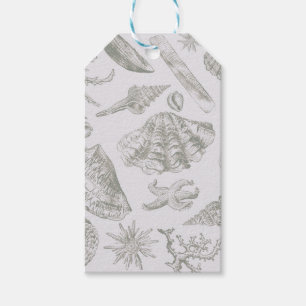 Seashell Soft Antique Art Beach Shells Gift Tags