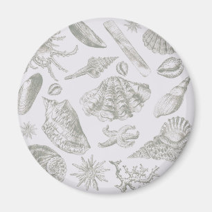 Seashell Soft Antique Art Beach Shells Magnet